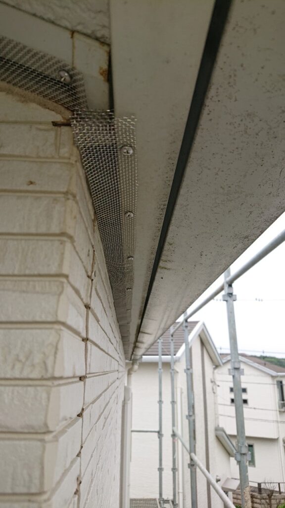 外壁と屋根の隙間のコウモリ侵入封鎖対策