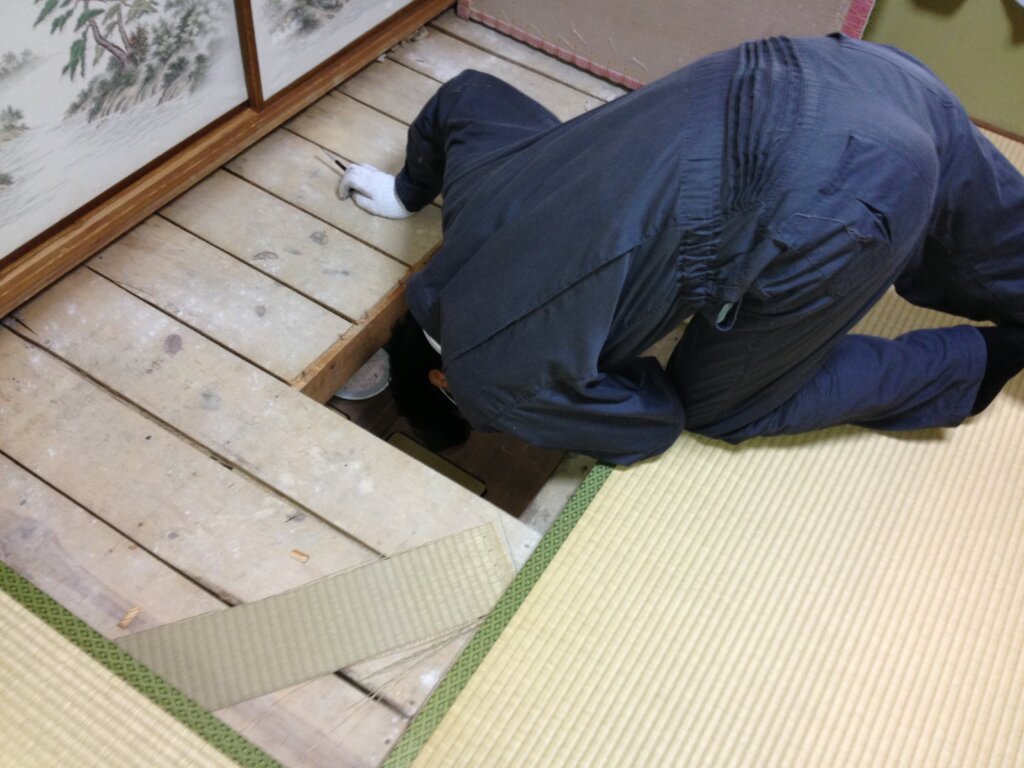 和室の床下からネズミの侵入状況を確認する作業写真