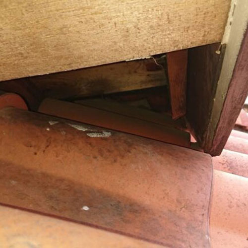 駆除対策屋アシストの施工写真：屋根まわりに確認された開口部