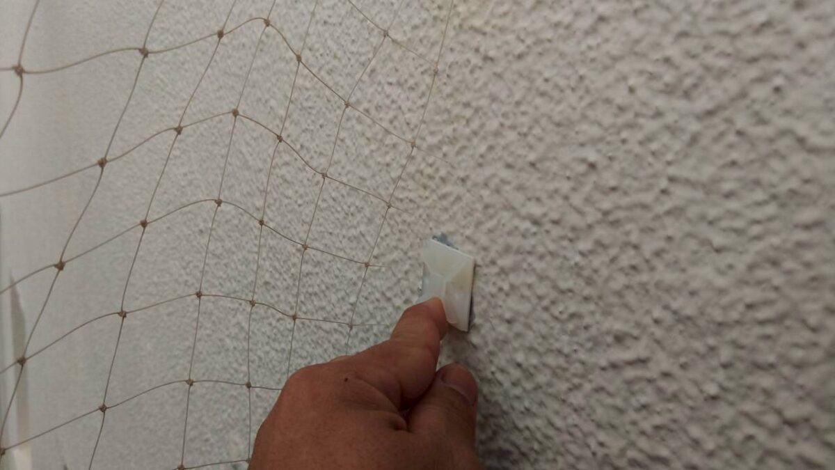 合同会社SHINの施工写真：壁面の固定部に取り付けられた防鳥ネット
