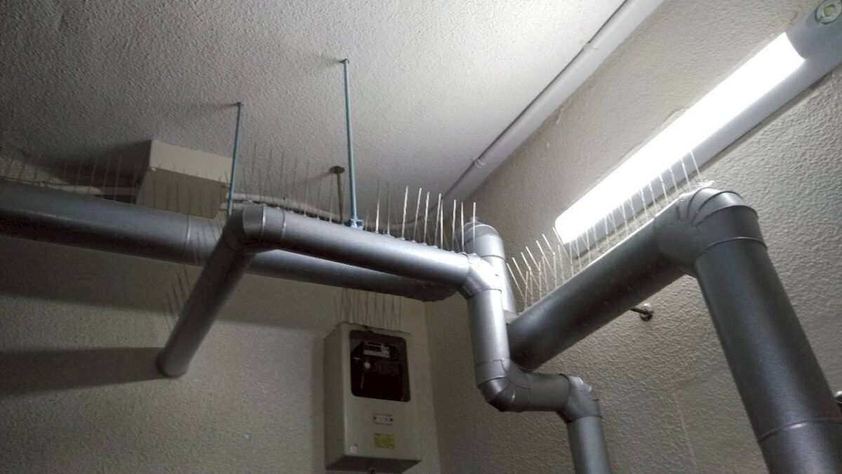 合同会社SHINの施工写真：屋外配管の上に設置された鳩よけスパイク